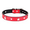 Punk Style Luxury Leather Dog Collar Star Design Fashion Solid Pattern Fur Decoration Metal Buckle Made PU-Ins Pet Leashes