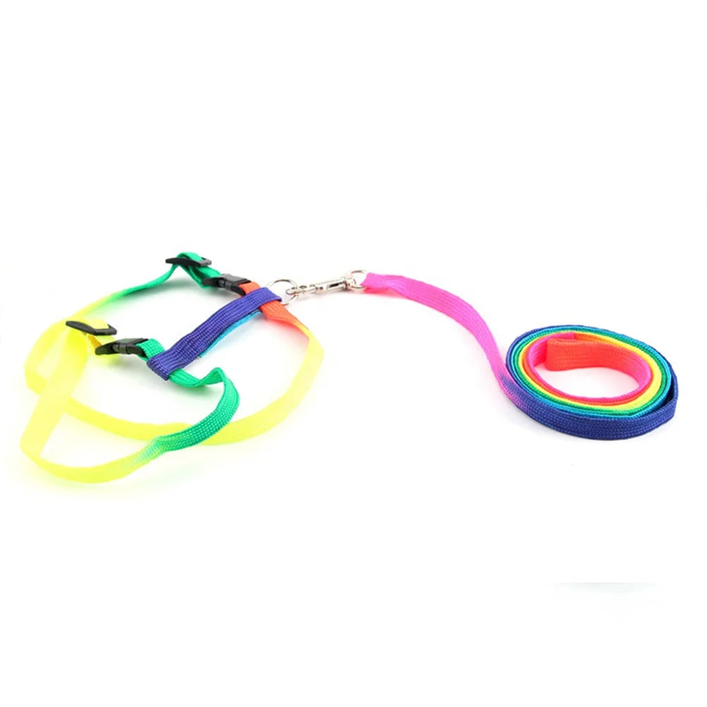Simple Fashionable Rainbow Printed Cat Harness Leash Set Escape Proof Nylon Buckles Fur Ribbon for Walking Small Pet Rabbits
