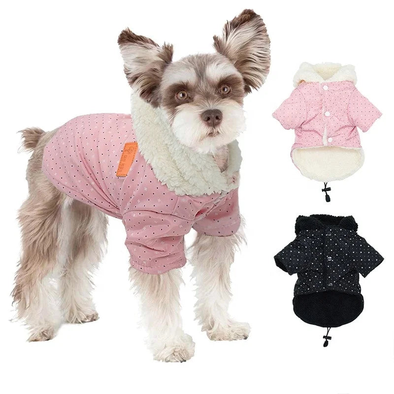 Popular Cheap Super Warm XXL Winter Coat for Dogs Coral Fleece Material with Moden Style Dot Pattern Rainproof Wool Clothing