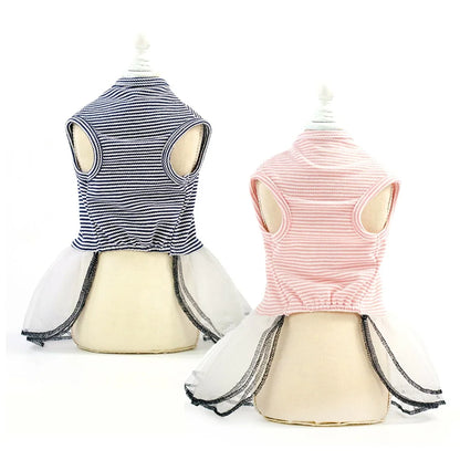 Elegant Lace Design Summer Dress for Small Pets Classic Striped Luxury Cute Pet Apparel Accessories for Dogs for Spring Season