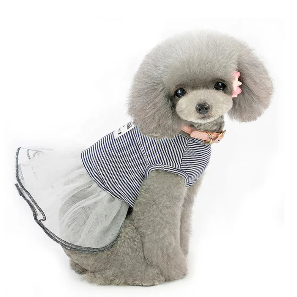 Elegant Lace Design Summer Dress for Small Pets Classic Striped Luxury Cute Pet Apparel Accessories for Dogs for Spring Season