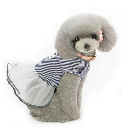 Elegant Lace Design Summer Dress for Small Pets Classic Striped Luxury Cute Pet Apparel Accessories for Dogs for Spring Season