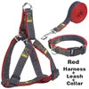 Hot Sale Comfortable & Stylish Denim Pet Harness Leash Collar Set with Buckle Closure-Simple Fashion Design for Dogs All Seasons