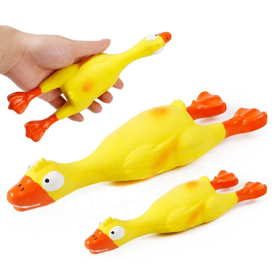 Super Cute Screaming Chicken and Yellow Duck Squeaky Chew Toys for Pets Durable and Safe Latex Factory Price