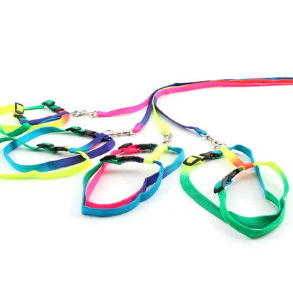 Simple Fashionable Rainbow Printed Cat Harness Leash Set Escape Proof Nylon Buckles Fur Ribbon for Walking Small Pet Rabbits
