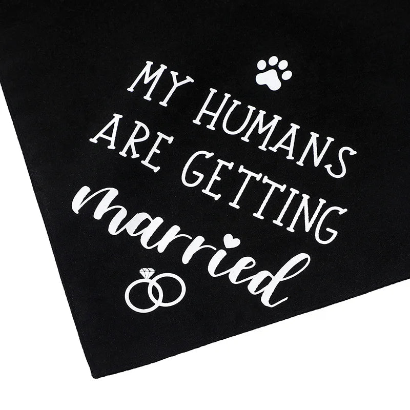 Happy Wedding Propose Marriage Custom Logo Sublimation Dog Bandana 100% Polyester for Fall Winter Summer Pet Apparel Accessory