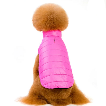 Spring Winter Sports Design Jacket Lightweight Quilted Dog & Cat Coat Zipper Warm Padded Polyester Cotton Small Dogs
