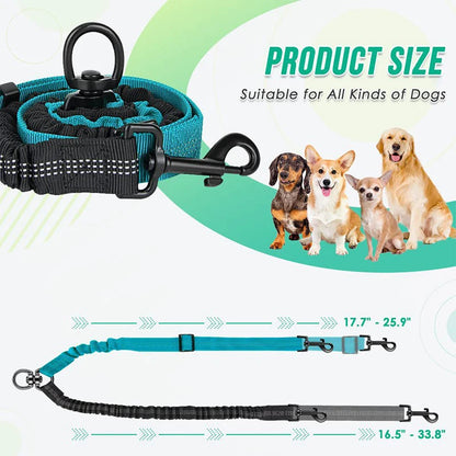 Hot Selling Double-Headed Automatic Retractable Nylon Reflective Fashion Sport Modern Pet Traction Leash for 2 Dogs Animal