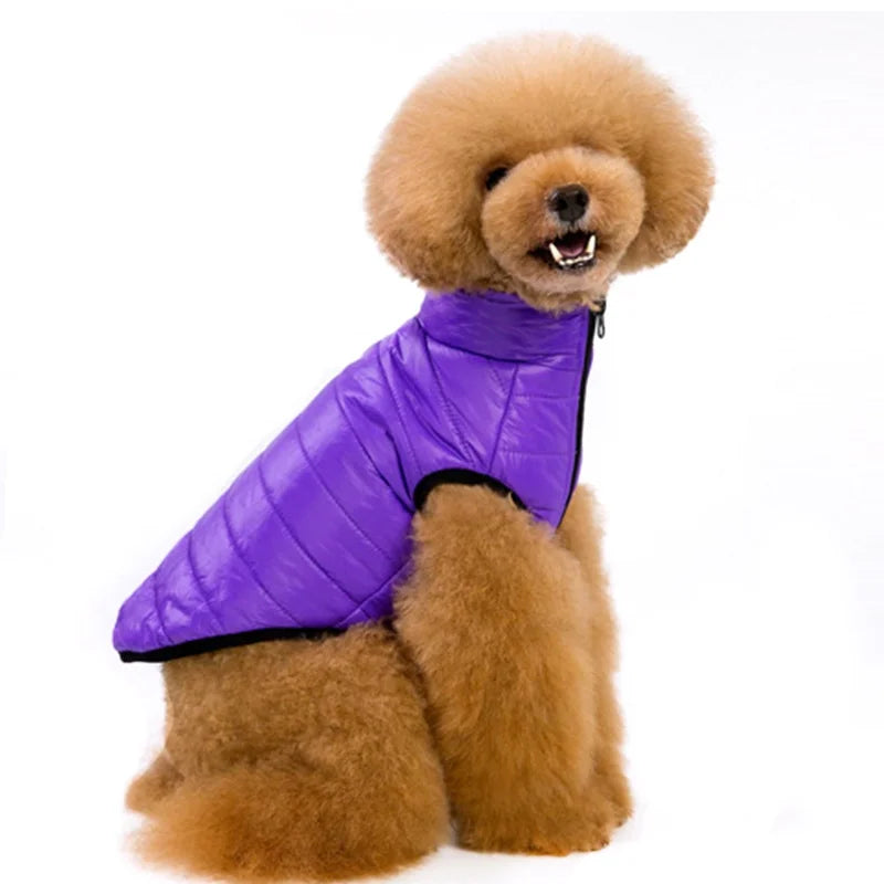 Spring Winter Sports Design Jacket Lightweight Quilted Dog & Cat Coat Zipper Warm Padded Polyester Cotton Small Dogs