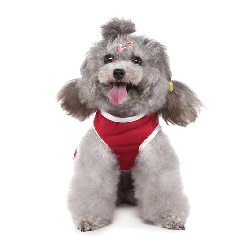 Valentine Dress for Dogs-Red 'Sweet Lil Valentine' Holiday Outfit Snowflake Print Polyester Cute Lightweight Dog Summer Spring