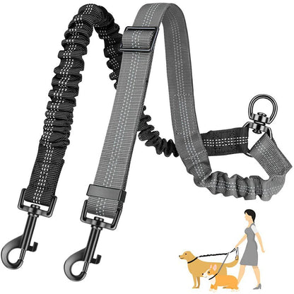 Hot Selling Double-Headed Automatic Retractable Nylon Reflective Fashion Sport Modern Pet Traction Leash for 2 Dogs Animal