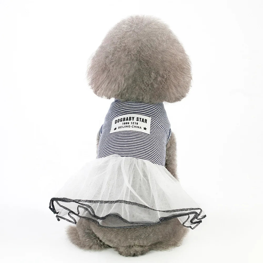 Elegant Lace Design Summer Dress for Small Pets Classic Striped Luxury Cute Pet Apparel Accessories for Dogs for Spring Season