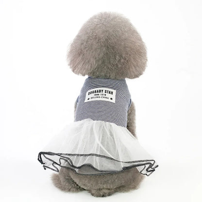 Elegant Lace Design Summer Dress for Small Pets Classic Striped Luxury Cute Pet Apparel Accessories for Dogs for Spring Season
