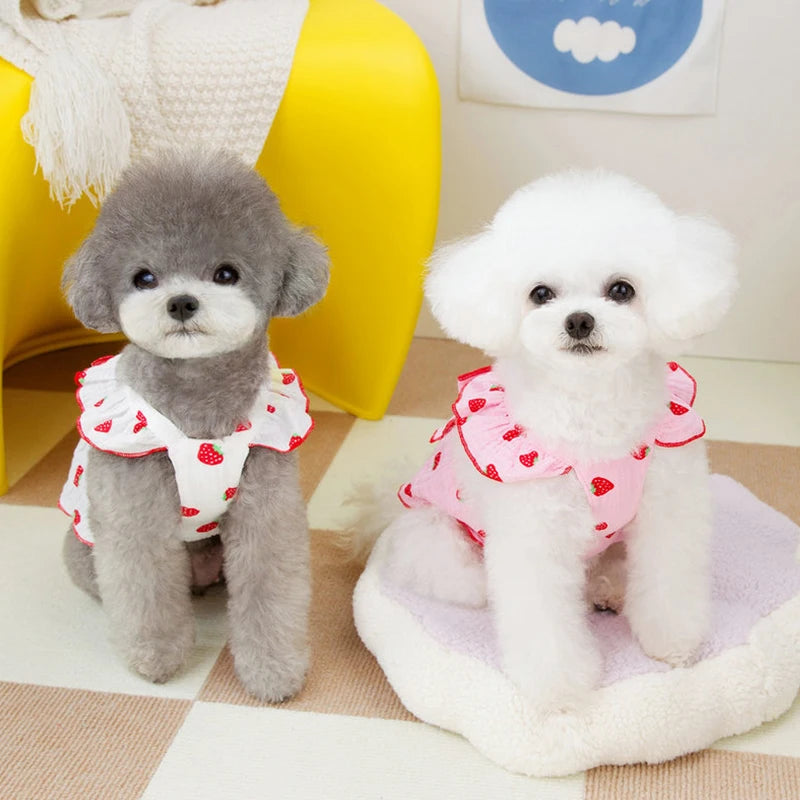 Super Cute Modern Valentine's Day Pink White Spring Strawberry Pattern Polyester Cotton Summer Lace Dog Bowknot Leash Ring